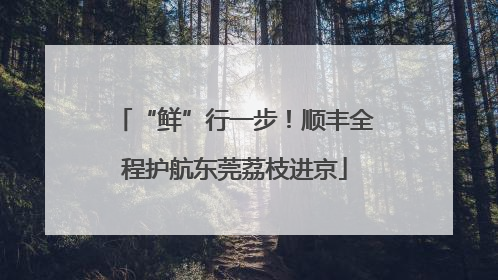 “鲜”行一步！顺丰全程护航东莞荔枝进京