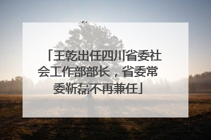 王乾出任四川省委社会工作部部长，省委常委靳磊不再兼任