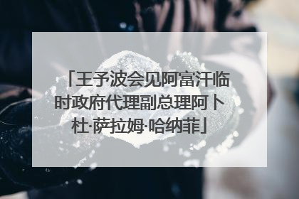 王予波会见阿富汗临时政府代理副总理阿卜杜·萨拉姆·哈纳菲