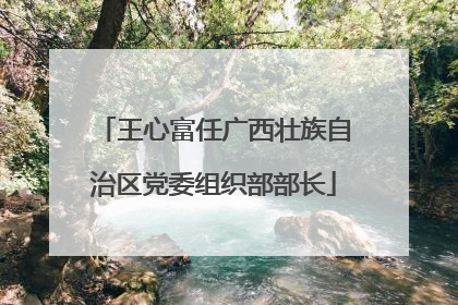 王心富任广西壮族自治区党委组织部部长
