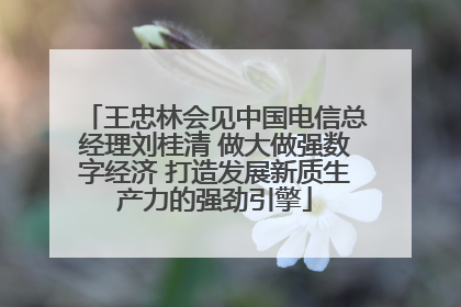 王忠林会见中国电信总经理刘桂清 做大做强数字经济 打造发展新质生产力的强劲引擎