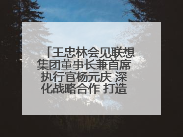 王忠林会见联想集团董事长兼首席执行官杨元庆 深化战略合作 打造世界级光电子信息产业集群