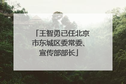王智勇已任北京市东城区委常委、宣传部部长