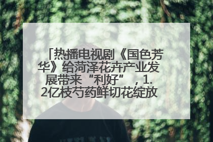 热播电视剧《国色芳华》给菏泽花卉产业发展带来“利好”，1.2亿枝芍药鲜切花绽放“国色芳华”