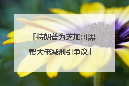 特朗普为芝加哥黑帮大佬减刑引争议