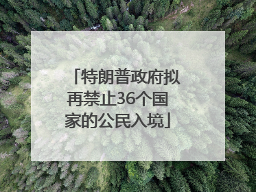 特朗普政府拟再禁止36个国家的公民入境