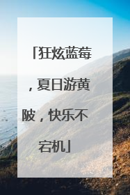 狂炫蓝莓，夏日游黄陂，快乐不宕机