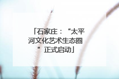 石家庄：“太平河文化艺术生态圈”正式启动
