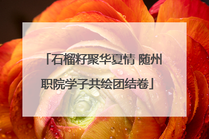 石榴籽聚华夏情 随州职院学子共绘团结卷