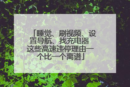 睡觉、刷视频、设置导航、找充电器 这些高速违停理由一个比一个离谱