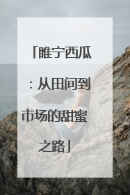 睢宁西瓜：从田间到市场的甜蜜之路