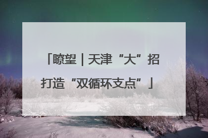 瞭望｜天津“大”招打造“双循环支点”