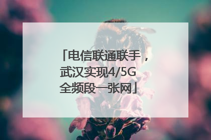 电信联通联手，武汉实现4/5G全频段一张网