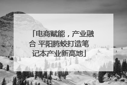 电商赋能，产业融合 平阳腾蛟打造笔记本产业新高地