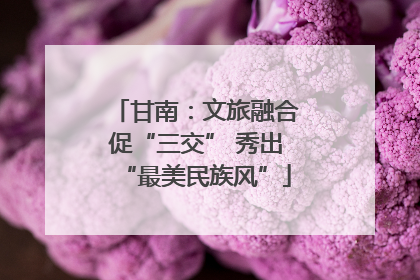 甘南：文旅融合促“三交” 秀出“最美民族风”