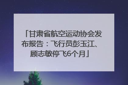甘肃省航空运动协会发布报告：飞行员彭玉江、顾志敏停飞6个月