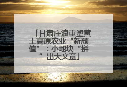 甘肃庄浪重塑黄土高原农业“新颜值”：小地块“拼”出大文章