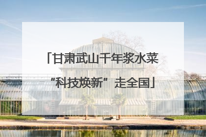 甘肃武山千年浆水菜“科技焕新”走全国