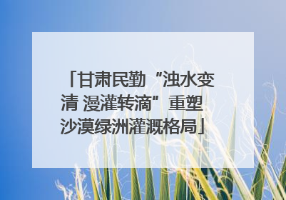 甘肃民勤“浊水变清 漫灌转滴”重塑沙漠绿洲灌溉格局