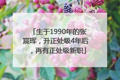 生于1990年的张宸珲，升正处级4年后，再有正处级新职