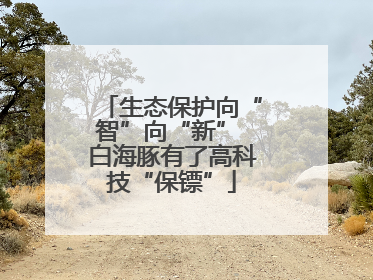 生态保护向“智”向“新” 白海豚有了高科技“保镖”