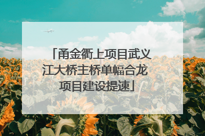 甬金衢上项目武义江大桥主桥单幅合龙 项目建设提速