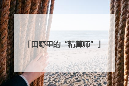 田野里的“精算师”