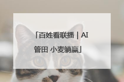 百姓看联播｜AI管田 小麦躺赢