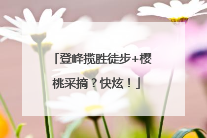 登峰揽胜徒步+樱桃采摘？快炫！