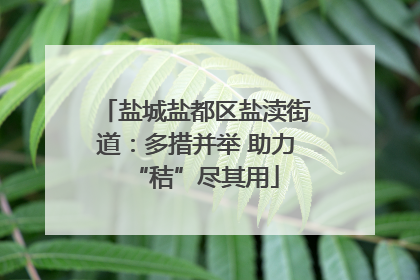 盐城盐都区盐渎街道：多措并举 助力“秸”尽其用