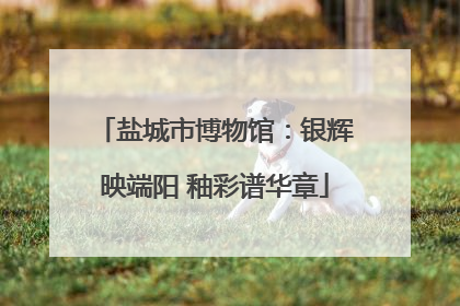 盐城市博物馆：银辉映端阳 釉彩谱华章