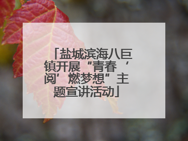 盐城滨海八巨镇开展“青春‘阅’燃梦想”主题宣讲活动