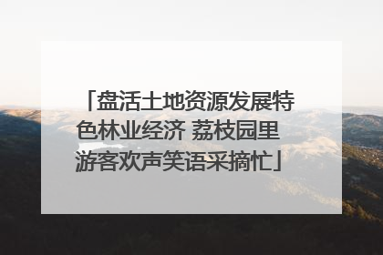 盘活土地资源发展特色林业经济 荔枝园里游客欢声笑语采摘忙