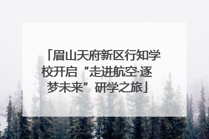 眉山天府新区行知学校开启“走进航空·逐梦未来”研学之旅