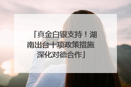 真金白银支持！湖南出台十项政策措施深化对德合作