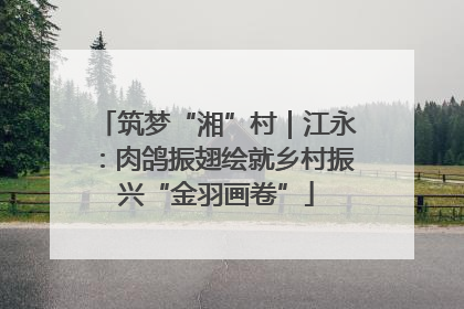 筑梦“湘”村｜江永：肉鸽振翅绘就乡村振兴“金羽画卷”