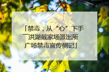 禁毒，从“心”下手――洪湖戴家场派出所广场禁毒宣传侧记