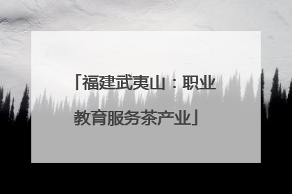 福建武夷山：职业教育服务茶产业