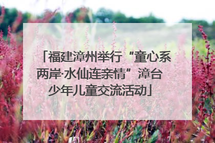 福建漳州举行“童心系两岸·水仙连亲情”漳台少年儿童交流活动