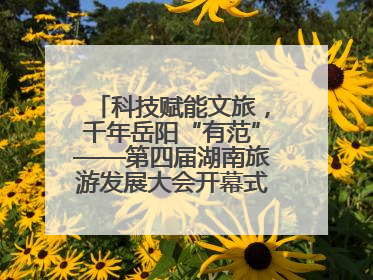 科技赋能文旅，千年岳阳“有范”——第四届湖南旅游发展大会开幕式暨文化旅游推介会侧记