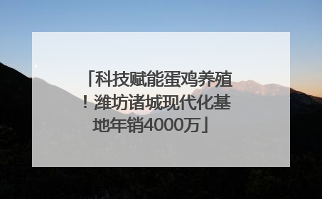 科技赋能蛋鸡养殖！潍坊诸城现代化基地年销4000万