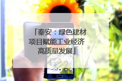 秦安：绿色建材项目赋能工业经济高质量发展
