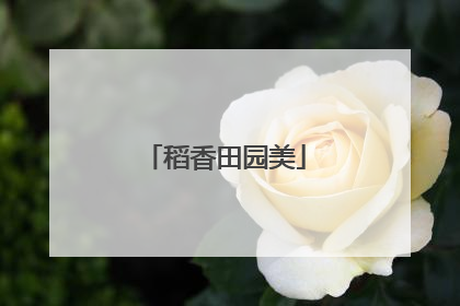 稻香田园美