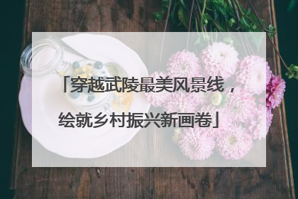 穿越武陵最美风景线，绘就乡村振兴新画卷