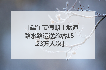端午节假期十堰道路水路运送旅客15.23万人次