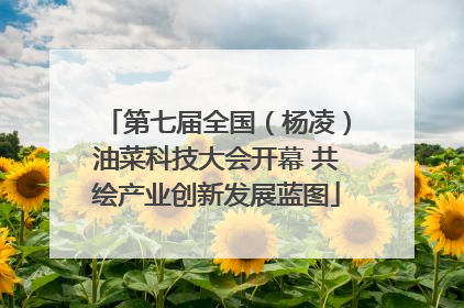 第七届全国（杨凌）油菜科技大会开幕 共绘产业创新发展蓝图
