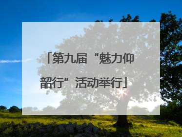 第九届“魅力仰韶行”活动举行