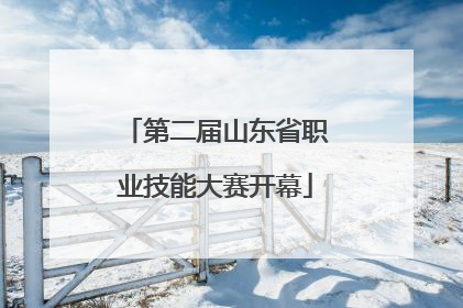 第二届山东省职业技能大赛开幕