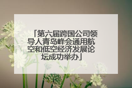 第六届跨国公司领导人青岛峰会通用航空和低空经济发展论坛成功举办