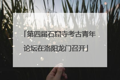 第四届石窟寺考古青年论坛在洛阳龙门召开